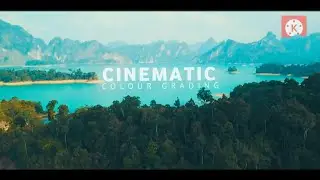 Cinematic colour grading like premiere pro in kinemaster |  color grading kinemaster 2020