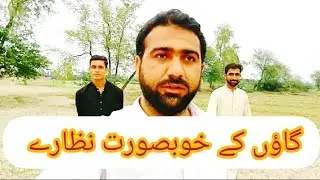 my first vlog/village natural life/ life in Pakistan/(natural Green fields/