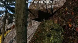 DayZ свд