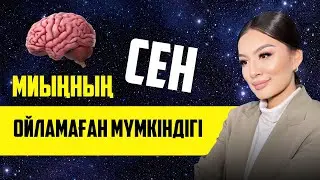 ПЛАСТИЧНОСТЬ МОЗГА кітабынан инсайттар