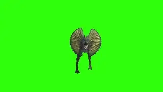 dilophosaurus idle2 green screen animation video footage