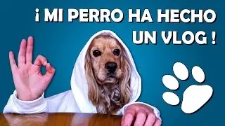 VLOG | Mi perro ha hecho un vlog