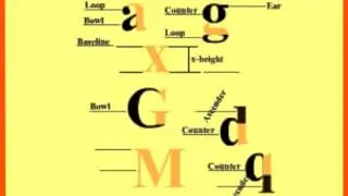 Type Anatomy.mp4