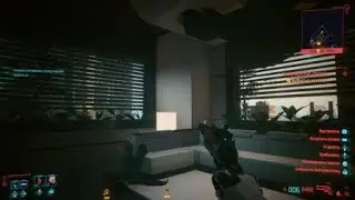 Cyberpunk 2077 заказ морские свинки