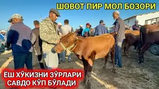 ХОРАЗМ ШОВОТ МОЛ БОЗОРИ ЁШ ХЎКНИ ЗЎРЛАРИ САВДО КЎП 28-август 2024 г.