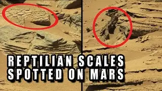 Reptilian Scales And Unknown Creature Spotted On Mars