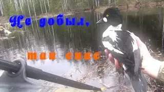 Не добыл,так спас.