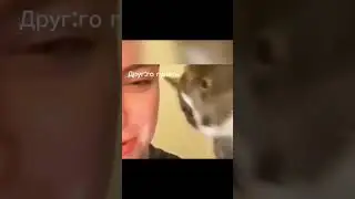 Диза?) 