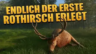 🦌 The Hunter: Call of the Wild – Endlich der erste Rothirsch erlegt