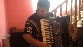 Proba Hohner Morino VN