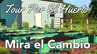 Tour Especial Por El Nuevo Huerto