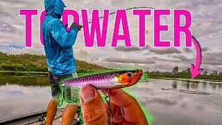 Watch MONSTER Fish EXPLODE on Topwater lures: Fishing