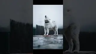 #cámaras