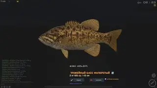 Fisher Online: Франция, бас малоротый