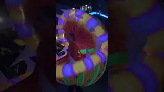 Wellington Lantern Festival 2022