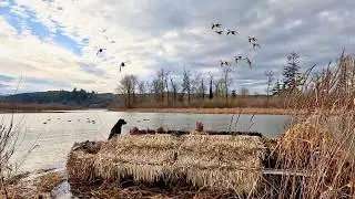 4 Hunters, 1 Boat Blind, and a Sky Full of Ducks