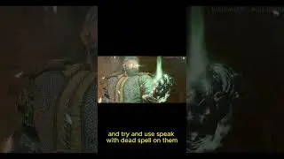 Baldur's Gate 3: Disguise self / Speak with Dead synergy