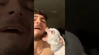 She hates my kisses so she bites me😭😭😭