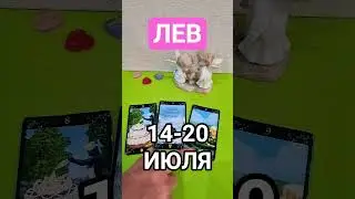 ЛЕВ 💕 