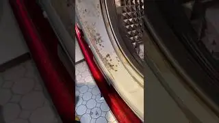 Washer with mold  #phonk