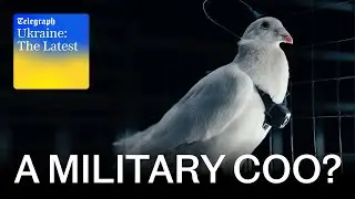 Russia tests turning pigeons into drones | Ukraine: The Latest