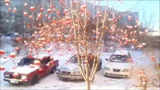 Зимние зарисовки