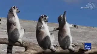 Принимаем солнечные ванны