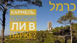 Гора Кармель. Парк.