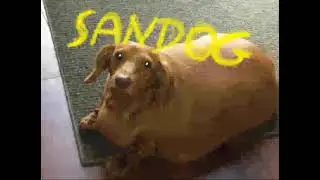 Remix de sur  Sandy - "SANDOG"
