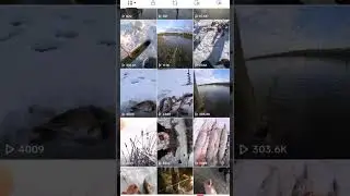 монетизация тик ток и рыбалка как хобби