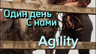 Аджилити