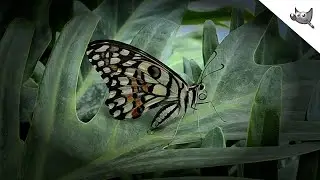 GIMP: Create a Vignette Effect.