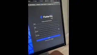 Apresentando o FlutterViz! #desenvolvimento #flutter