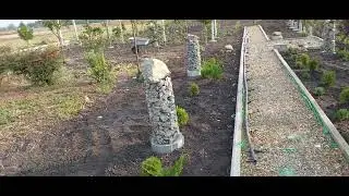 616.Укорененные  черенки  рассадила по одной веточке .
