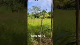 Kamp Joneru #shorts #campsite