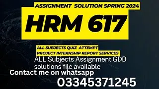 HRM 617 assignment solution Spring 2024