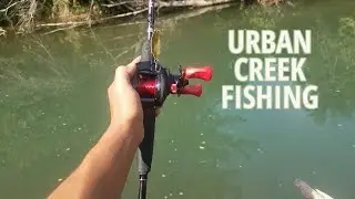 SMALLMOUTH fishing in an URBAN CREEK!