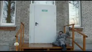 Кот Я Жив