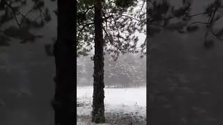 Simav | Gölcük yaylası
