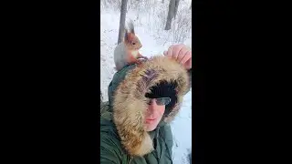 Ушастик сел мне на голову / The Ushastik sat on my head
