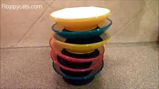 Designer Pet Bowls by ModaPet Bowls Review Update 4 Years Later - ラグドール - Floppycats