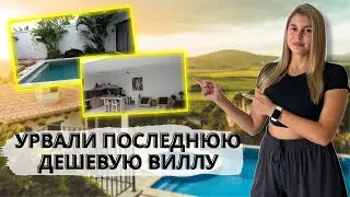 Жилье на Бали | Обзор виллы | Неожиданные соседи