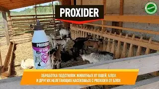 Безопасное уничтожение вшей и блох у животных с помощью препаратов PROXIDER