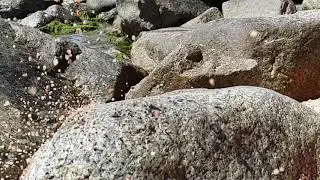 Sand and big stones. Super slow motion. Samsung Note 9
