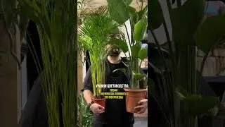 Основано на реальных событиях😂😂😂  