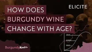 How Does Burgundy Wine Change With Age?