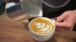 Just Coffee Cappadocia Tanıtım Filmi