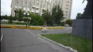 Найди телефон ВТолпе (11 июля)