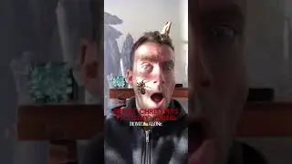 Fox - Home Alone 😱