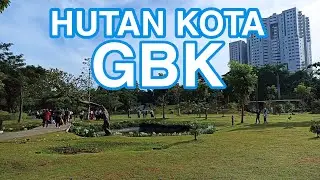 Hutan kota GBK || Piknik di tengah kota